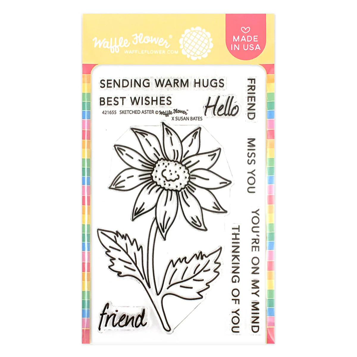 Waffle Flower Sketched Aster Bundle