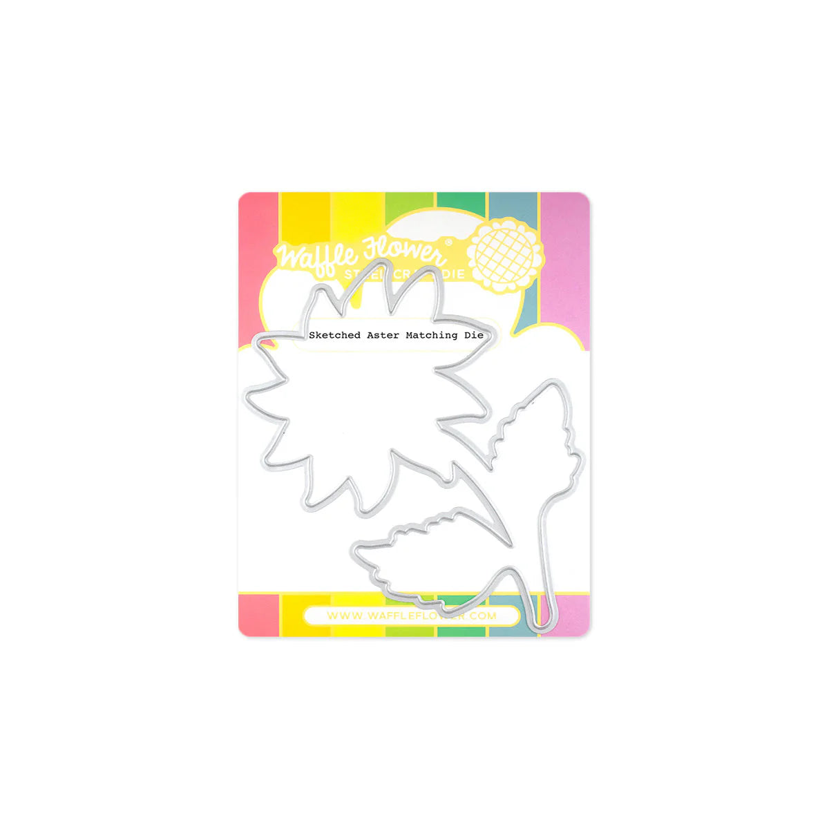 Waffle Flower Sketched Aster Bundle