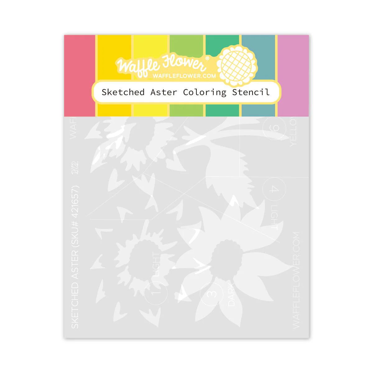 Waffle Flower Sketched Aster Bundle