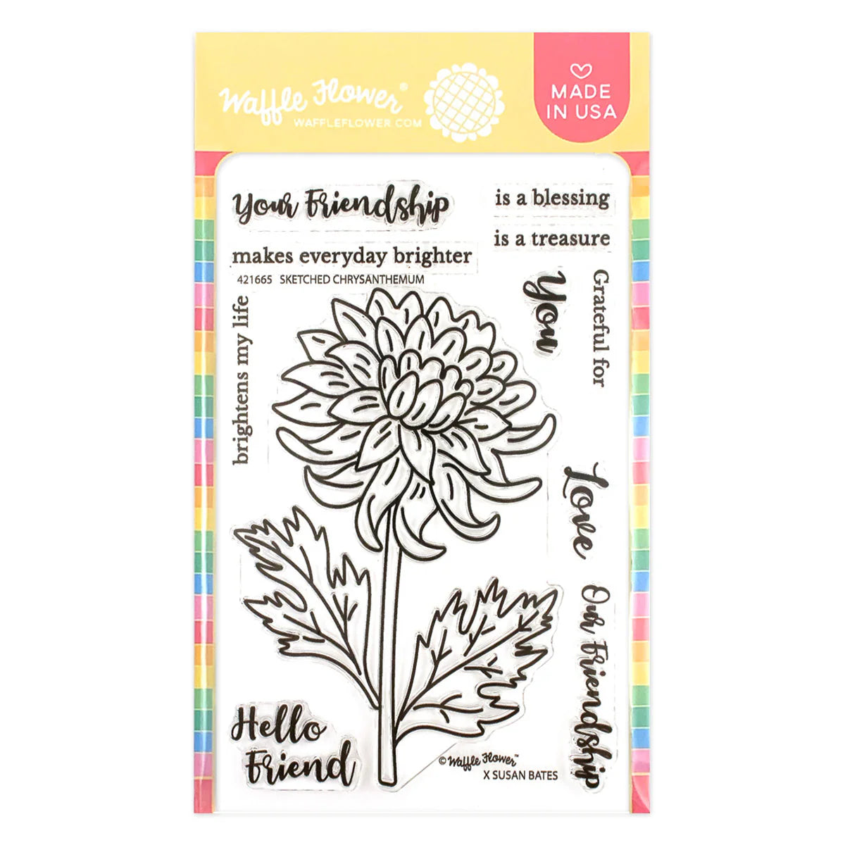 Waffle Flower Sketched Chrysanthemum Bundle