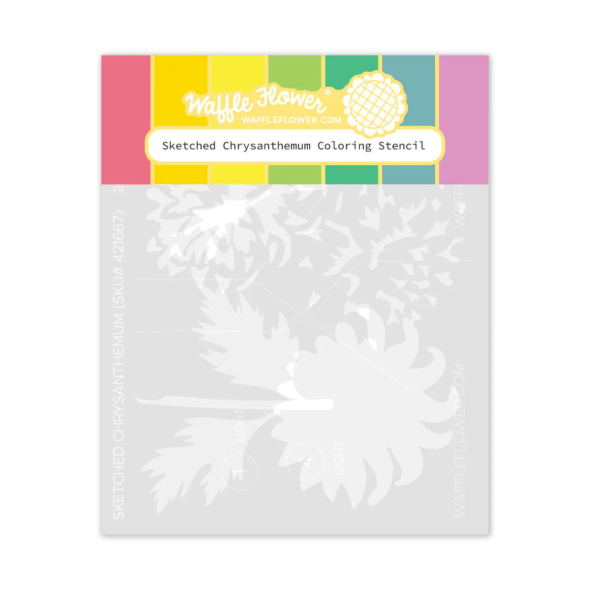 Waffle Flower Sketched Chrysanthemum Bundle