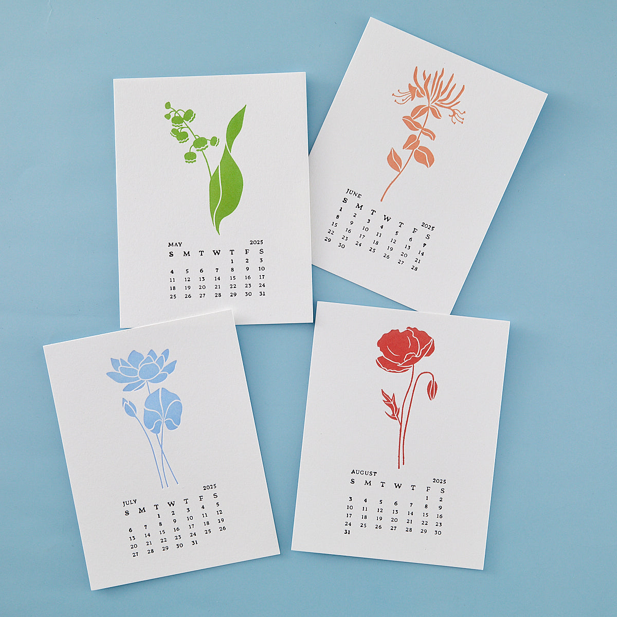 Florals Throughout the Year Calendar Class Set by Spellbinders