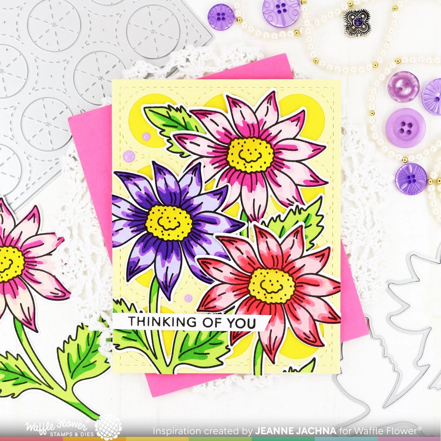 Waffle Flower Sketched Aster Bundle