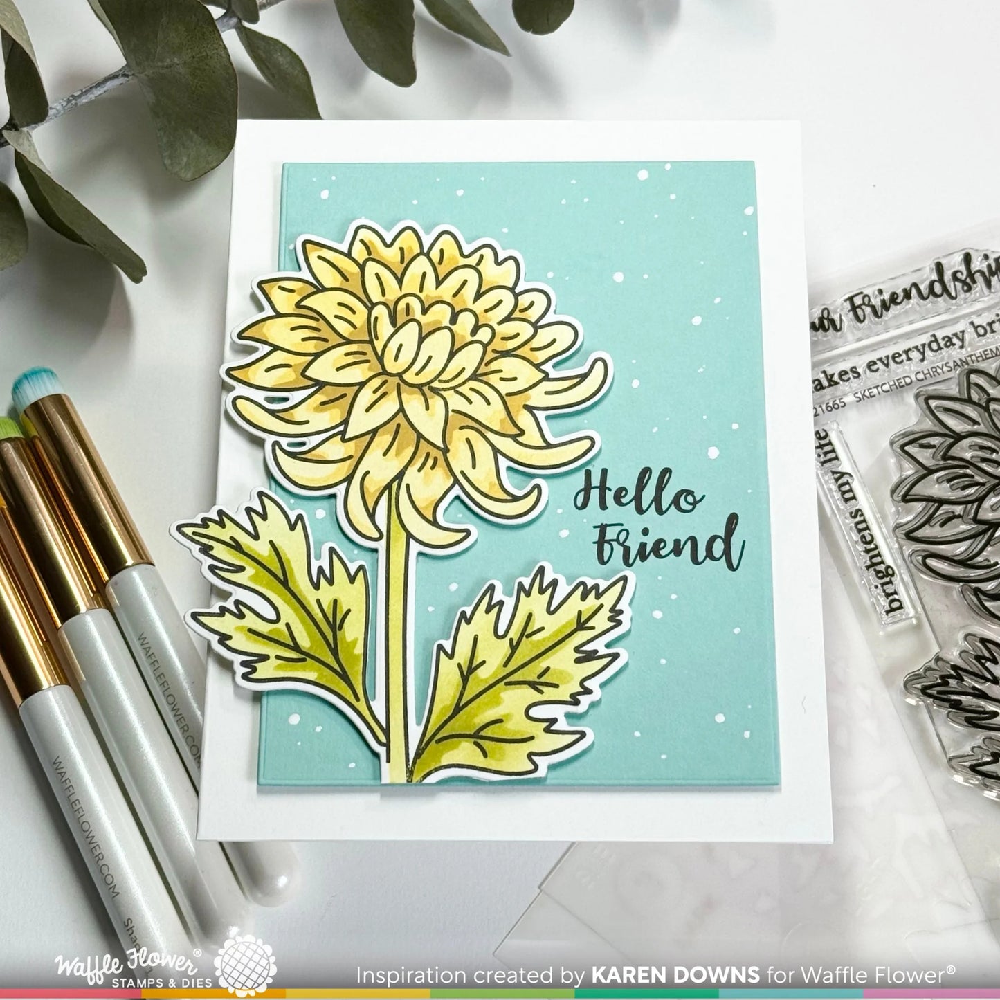 Waffle Flower Sketched Chrysanthemum Bundle