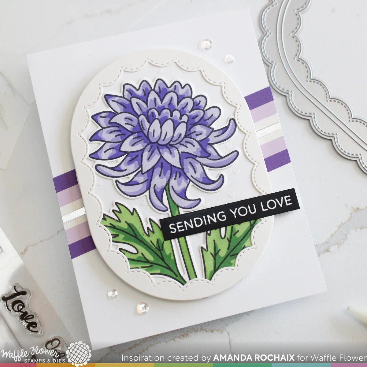 Waffle Flower Sketched Chrysanthemum Bundle