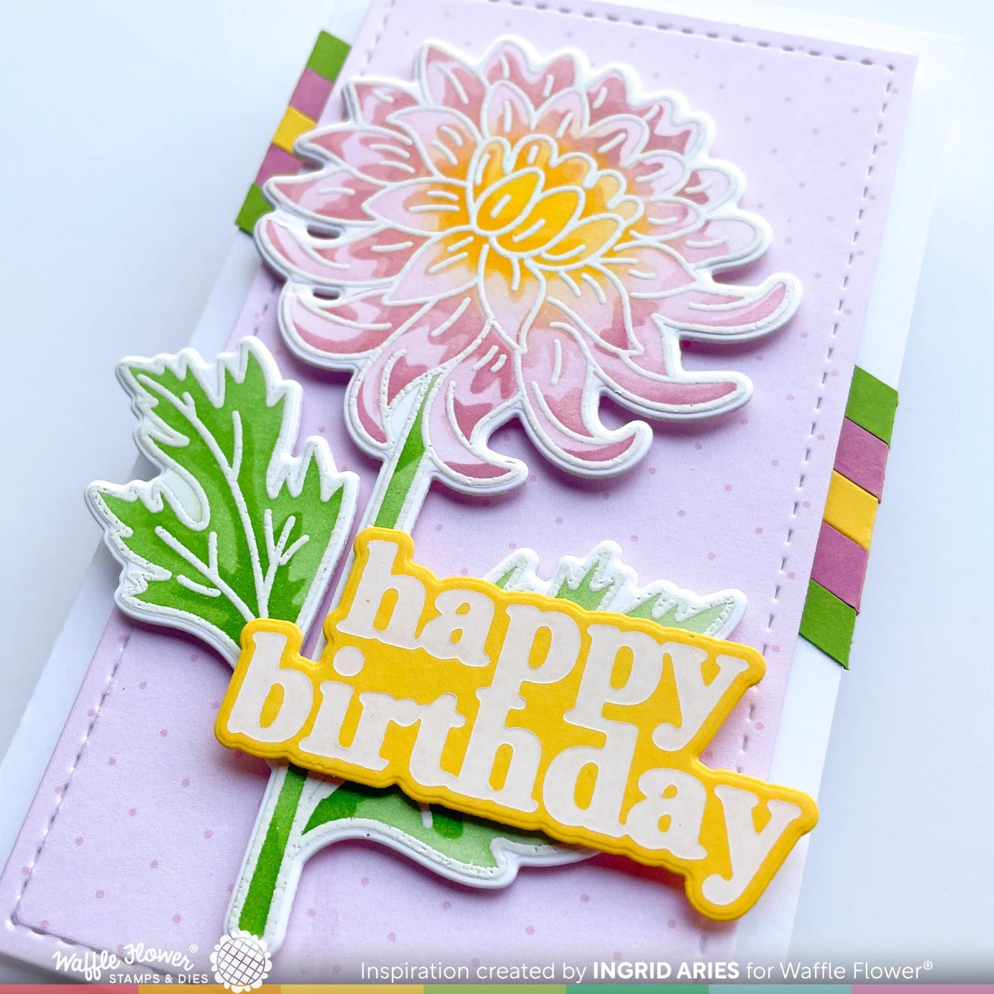 Waffle Flower Sketched Chrysanthemum Bundle