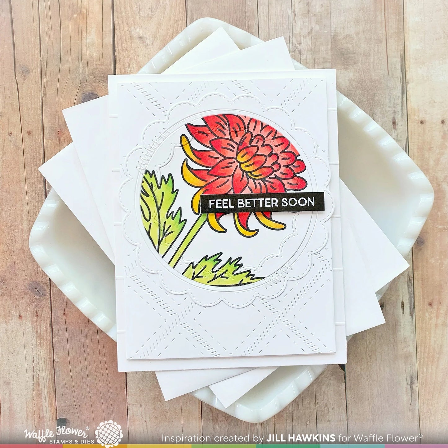 Waffle Flower Sketched Chrysanthemum Bundle