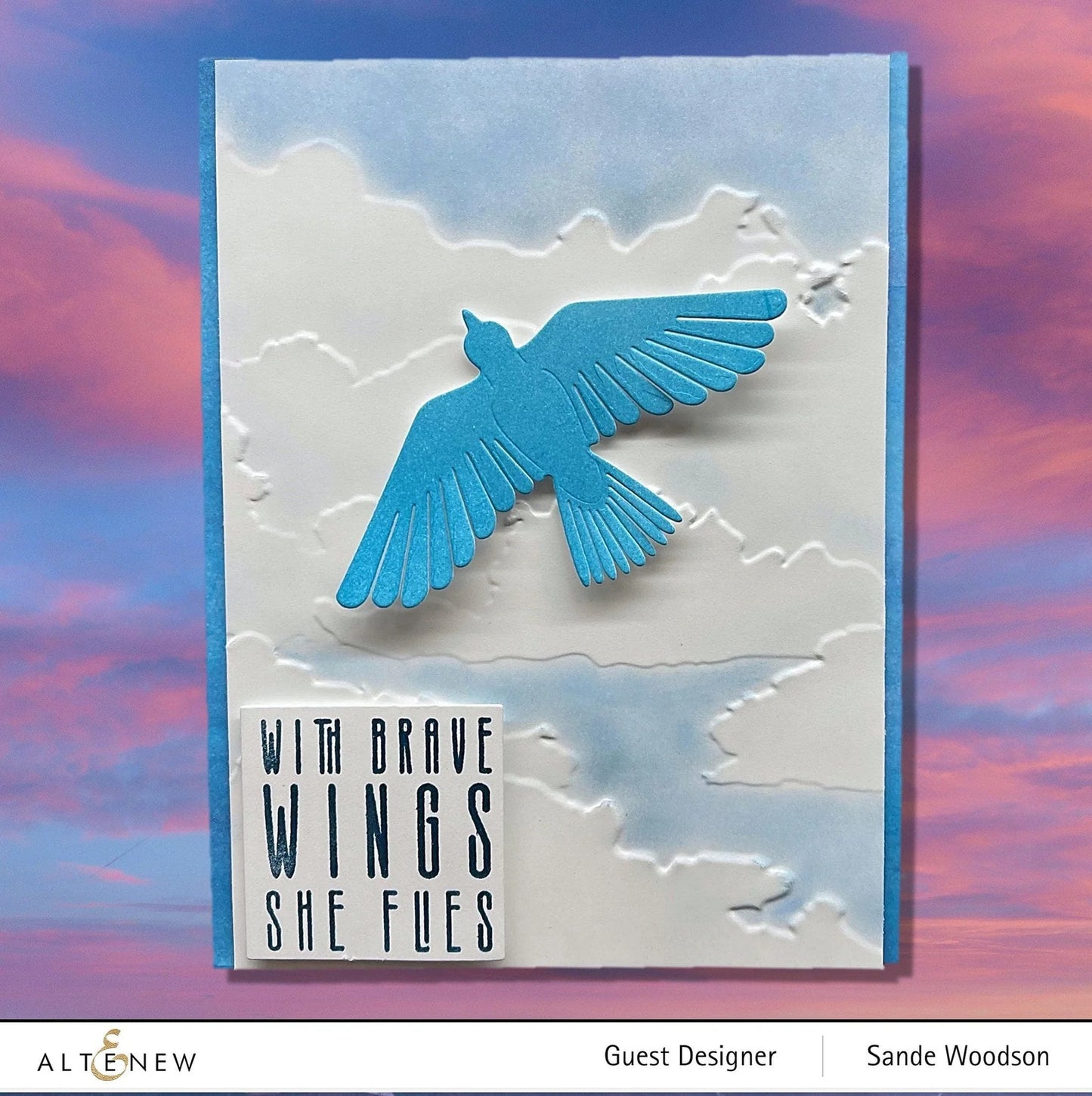 Altenew Cloudy Day 3D Embossing Folder