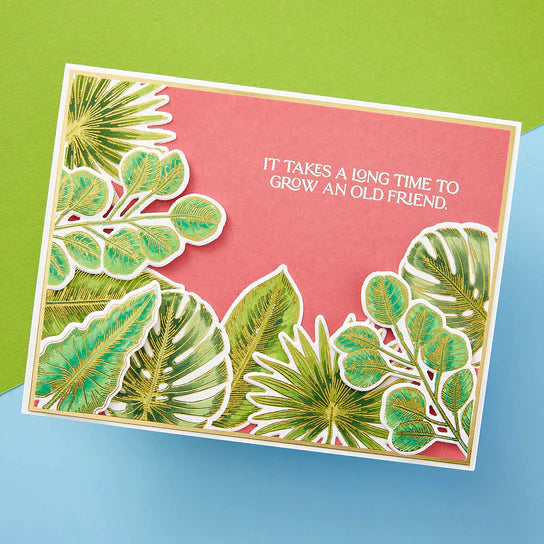 Spellbinders BetterPress Tropical Leaves Plate & Die Set