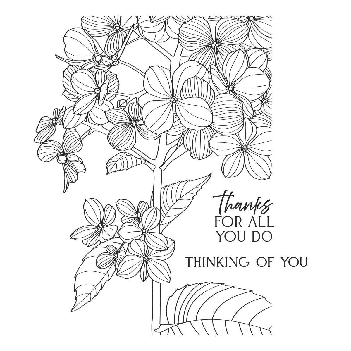 Spellbinders Thanks in Bloom Press/Foil Plate