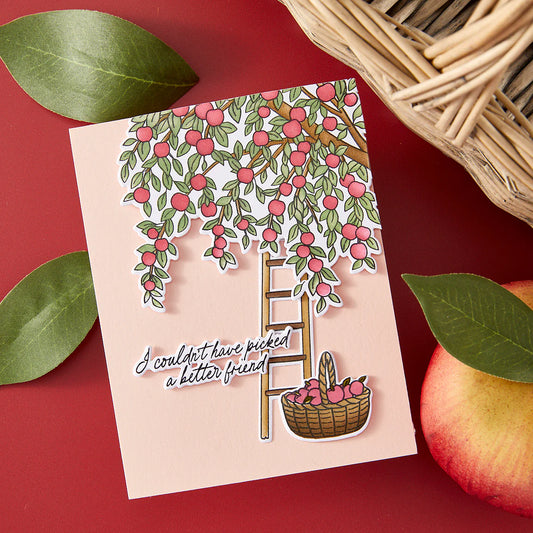 Hero Arts I Pick You In the Orchard Stamp, Die and Stencil Bundle