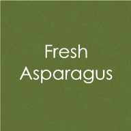 Gina K Designs 100lb Heavyweight Card Stock - Fresh Asparagus