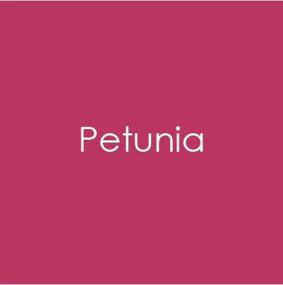 Gina K Designs 100lb Heavyweight Card Stock - Petunia
