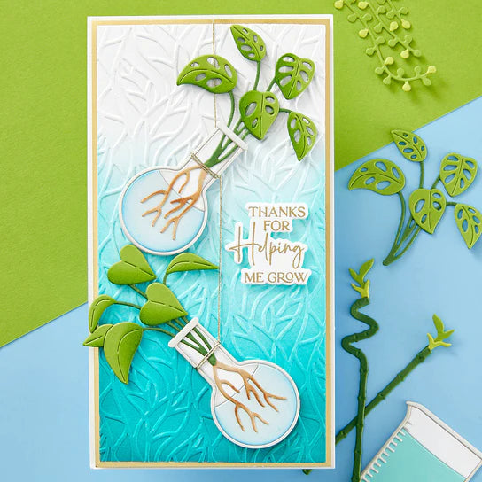 Helix Embossing Pattern Spellbinders Leafy Helix Embossing Folder – Craftique