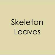Gina K Designs Amalgam Ink Refill - Skeleton Leaves
