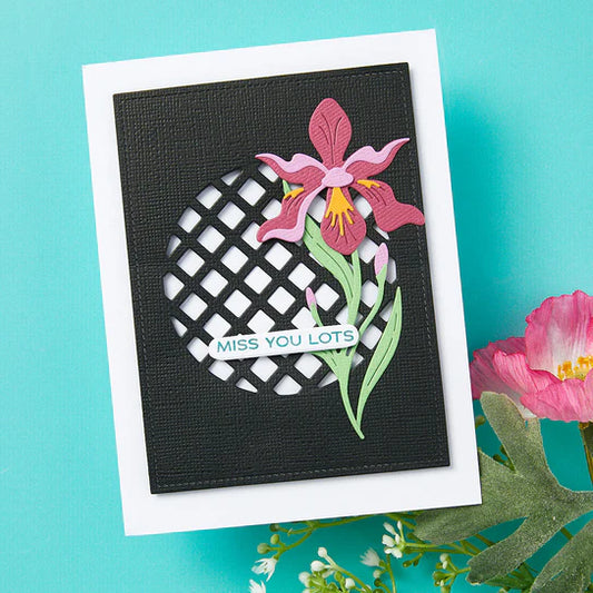 Spellbinders Stitched Edge Circle Backgrounds Dies